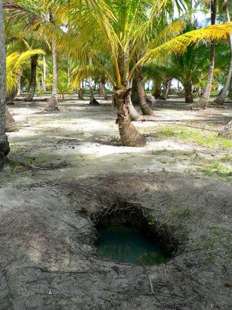 40- Un puits d'eau douce 